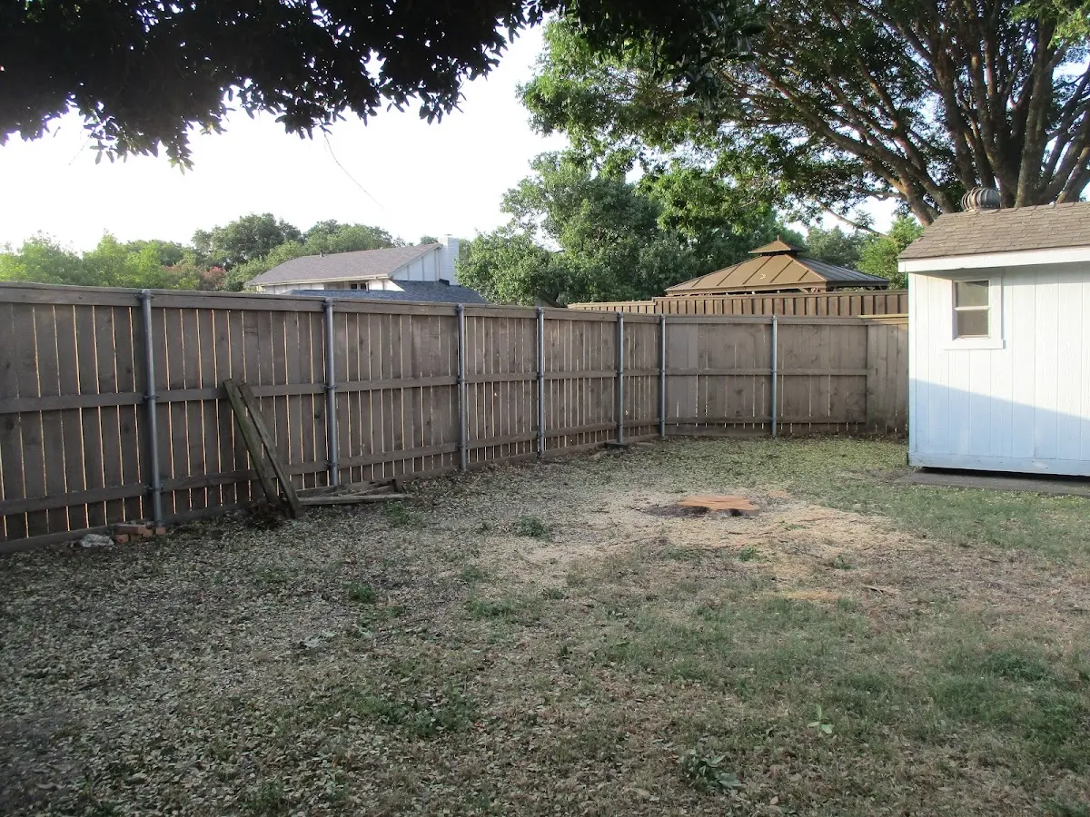Cleared yard after professional tree removal in Ringwood